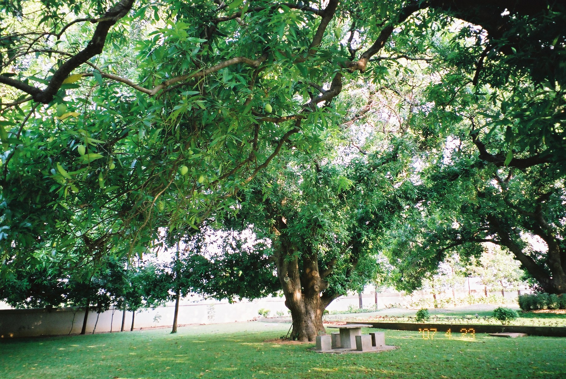 飯島クリニックオフィシャルサイト（内観療法の案内）